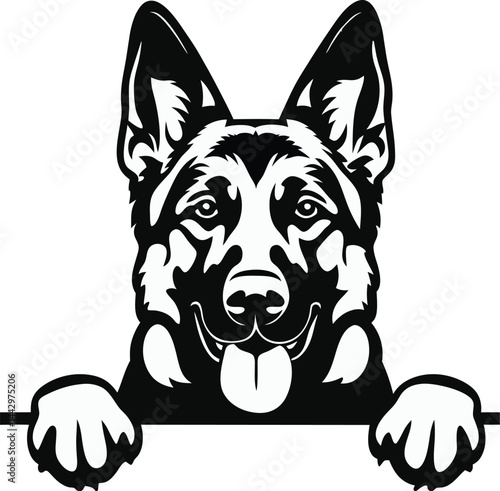 German Shepherd - Peeking Dog vector 