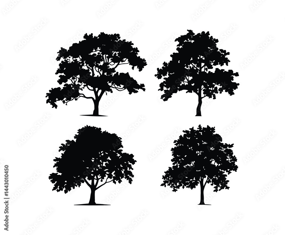 Fototapeta premium Hornbeam Tree Silhouette Isolated Vector Set