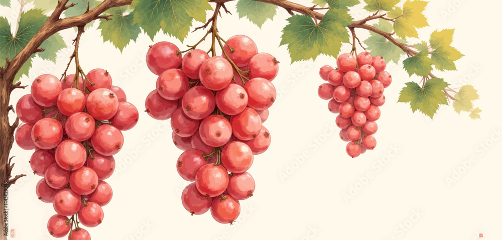 Illustration of Red Currant Bunches with Green Leaves