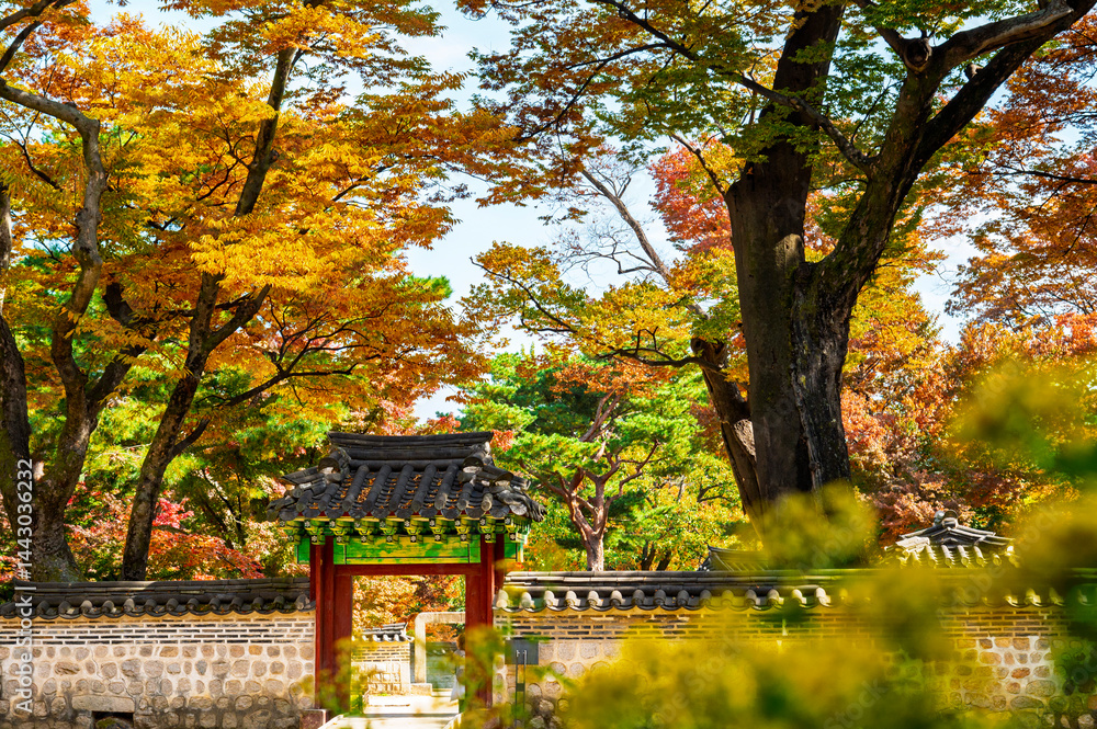 Huwon the Secret Garden inner part of Changdeokgung Palace with Autumn season background, Seoul city, South Korea