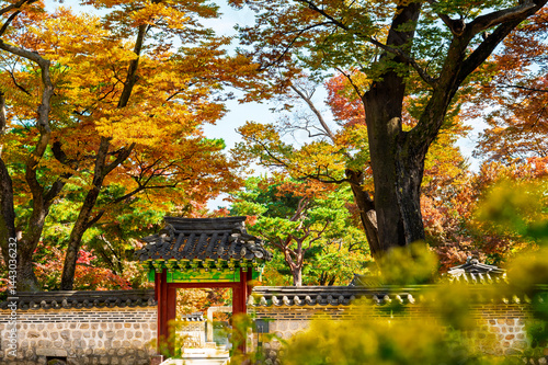 Huwon the Secret Garden inner part of Changdeokgung Palace with Autumn season background, Seoul city,  South Korea