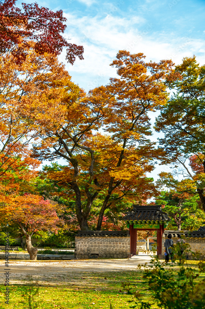 Huwon the Secret Garden inner part of Changdeokgung Palace with Autumn season background, Seoul city, South Korea