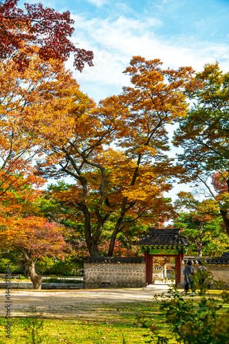Obraz na płótnie Huwon the Secret Garden inner part of Changdeokgung Palace with Autumn season background, Seoul city, South Korea w salonie