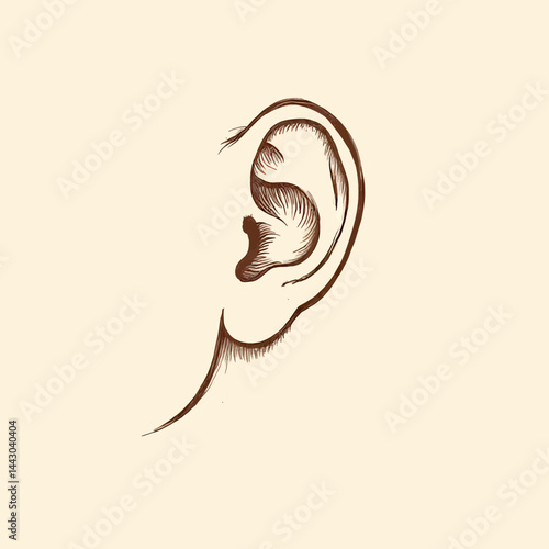 Obraz na płótnie Ear anatomy sketch in brown ink on cream background w salonie