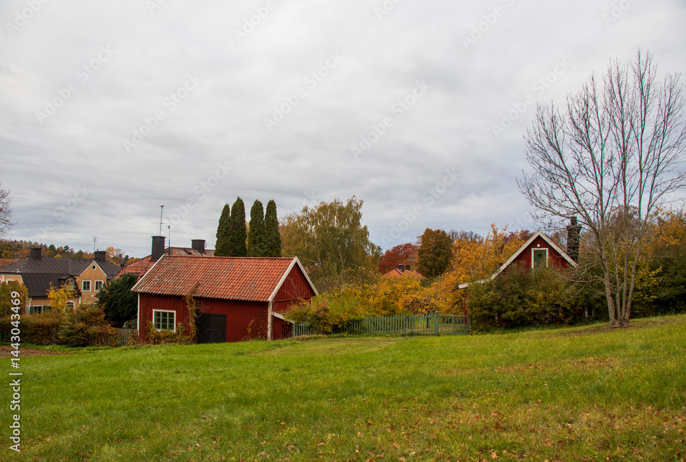 Obraz premium Swedish red wooden houses in autumn countryside landscape near Stockholm. Red wooden houses in green field surrounded by trees with fall foliage in rural area near Stockholm.