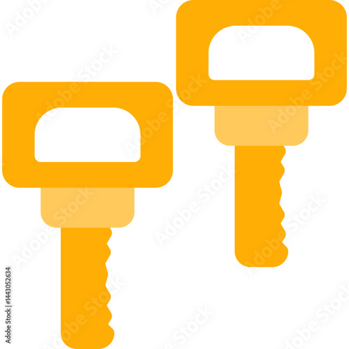 Encryption Key Flat Icon