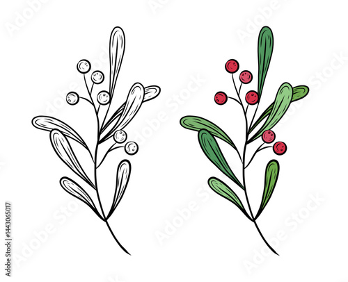 Vector twig with leaves and red berries. Hand drawn illustration of cranberry, viburnum. Christmas botanical illustration, graphic. Black and white and color drawing. Design and decoration