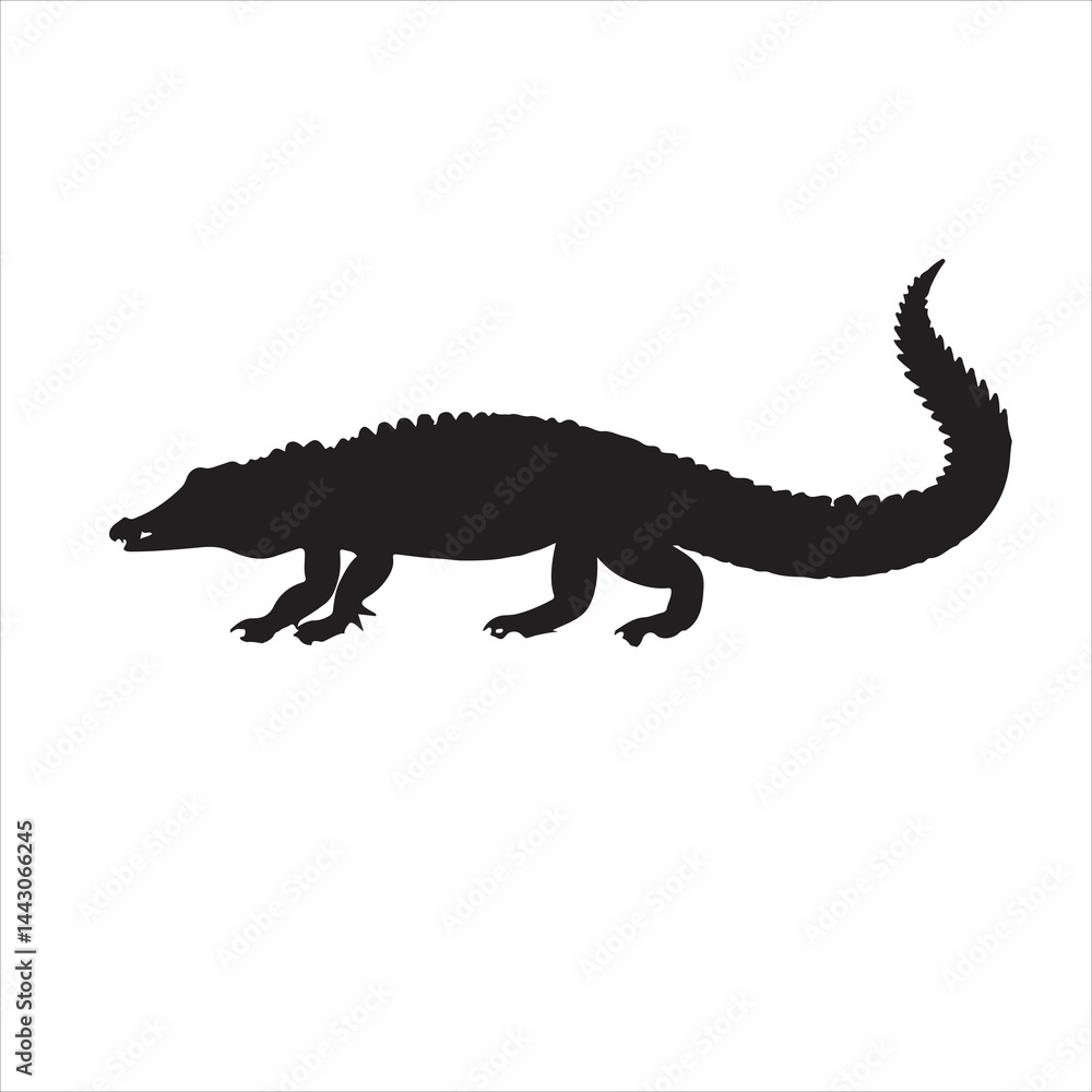 Silhouette of a crocodile on a white background Silhouette of a crocodile on a white background