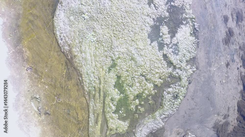 Drone View of Polluted Concrete Canal with Stagnant Water and Algae Bloom