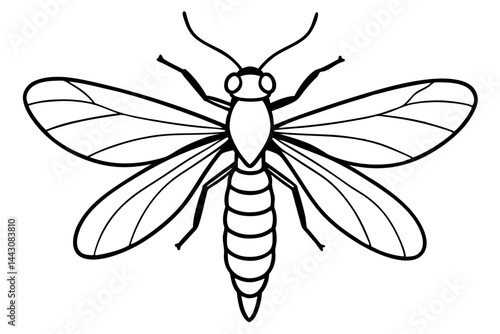Mayfly Vector Illustration