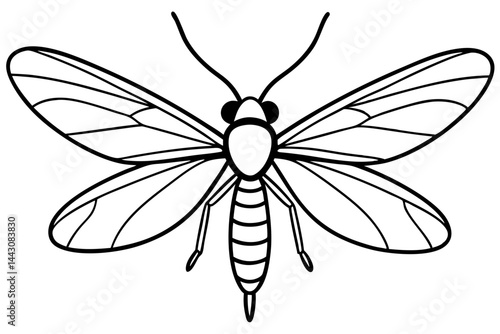 Mayfly Vector Illustration
