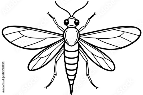 Mayfly Vector Illustration