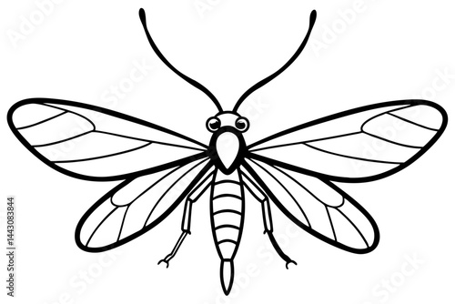 Mayfly Vector Illustration