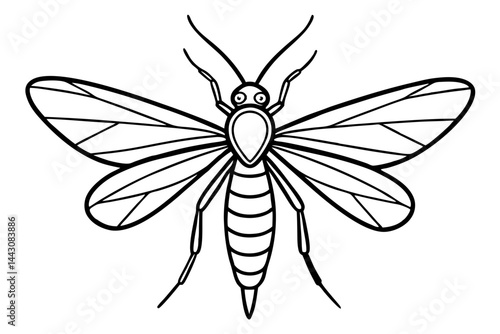 Mayfly Vector Illustration