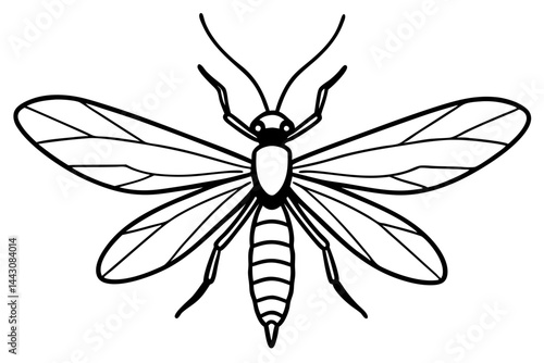 Mayfly Vector Illustration