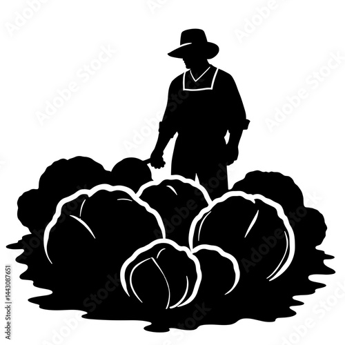 Farmer harvesting cabbages silhouette on white background, farming concept