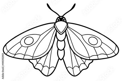 Opal Wings Illustration