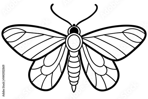 Opal Wings Illustration