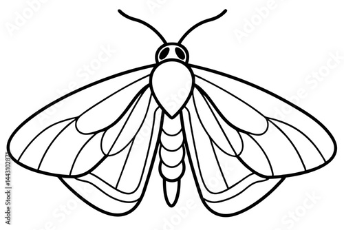 Opal Wings Illustration