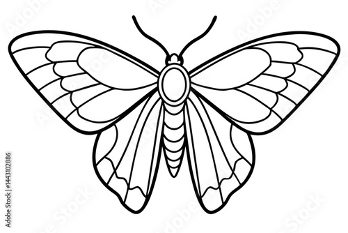 Opal Wings Illustration