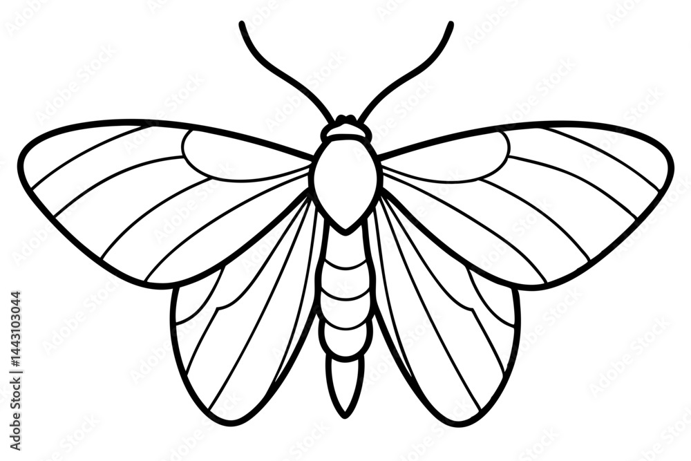 Obraz premium Opal Wings Illustration