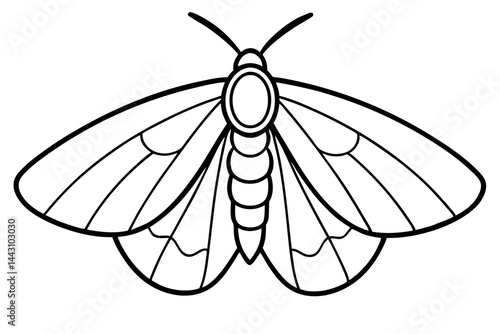 Opal Wings Illustration