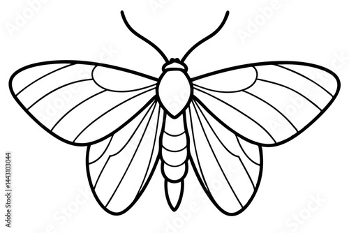 Opal Wings Illustration