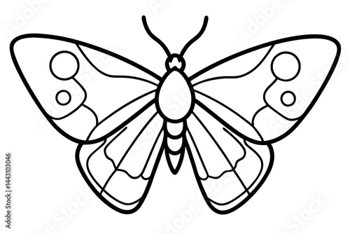 Opal Wings Illustration