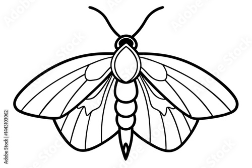 Opal Wings Illustration