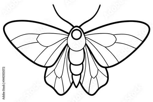 Opal Wings Illustration