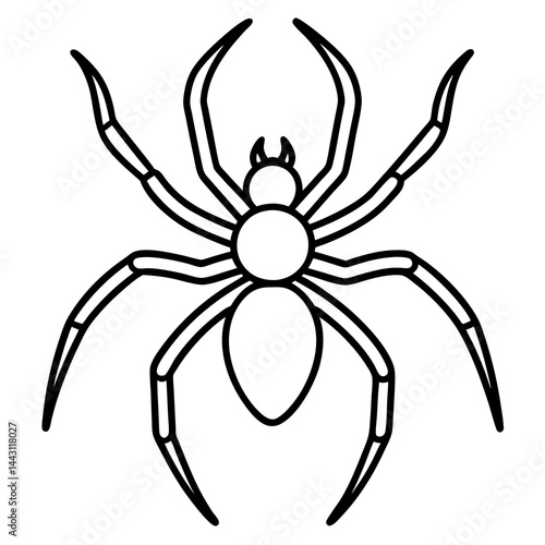 Clean Line Art Wolf Spider Vector