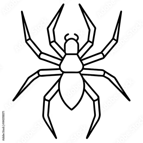 Clean Line Art Wolf Spider Vector