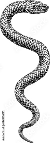 Snake Coiled Serpent Vintag...