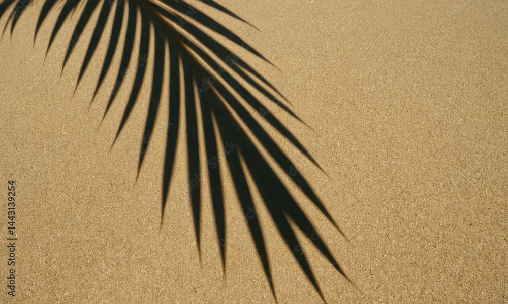 A palm leaf's shadow falls on the sandy beach, great for travel or nature-themed projects