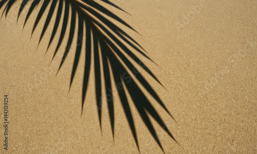 Obraz na płótnie A palm leaf's shadow falls on the sandy beach, great for travel or nature-themed projects w salonie