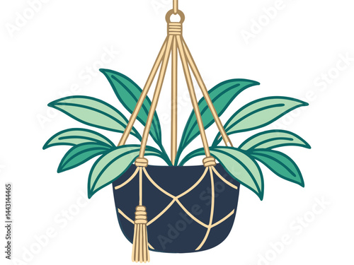 Bohemian Hanging Plant in Macrame Holder