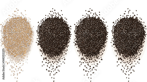 Assortment of Seeds and Grains in Various Shades of Brown and Beige