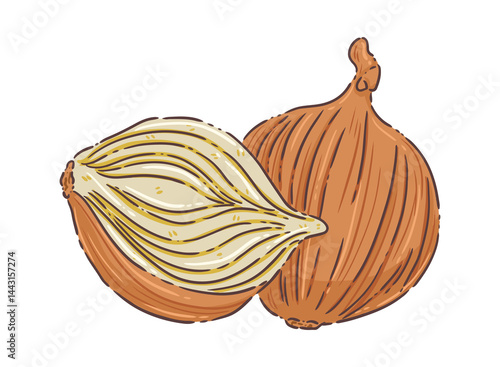 Wallpaper Mural onion on a white background Torontodigital.ca