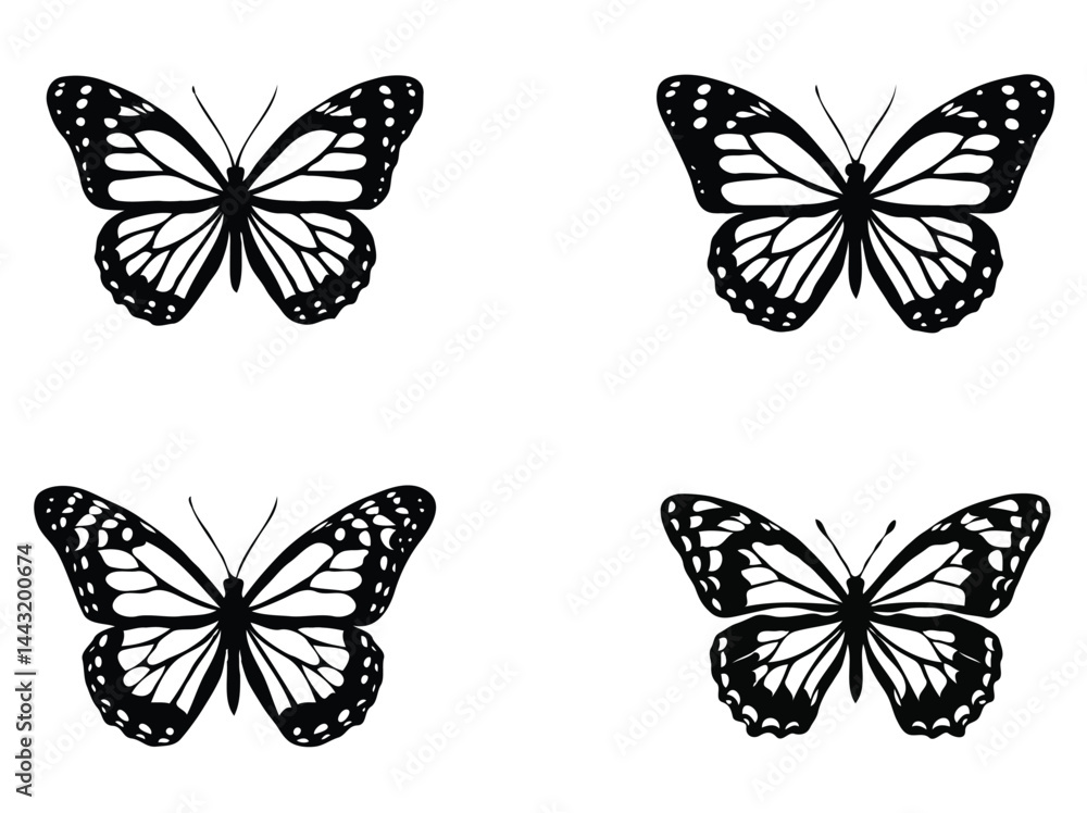Set of butterfly silhouette Set of butterfly silhouette