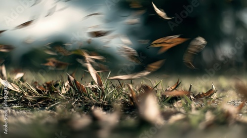 A close-up view of autumn leaves swirling in the wind.