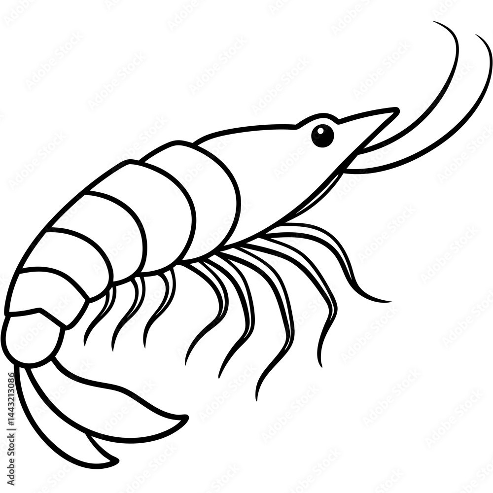 Single Line Shrimp Vector Illustration Single Line Shrimp Vector Illustration