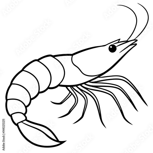 Single Line Shrimp Vector Illustration