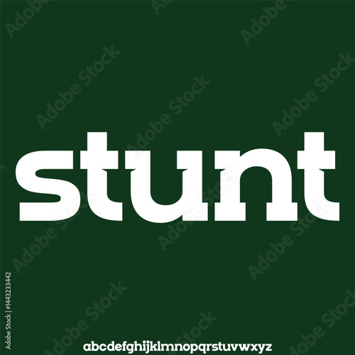 Unique and cute slab display font vector