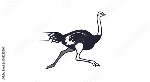 Stylized Running Ostrich Tail and Leg Detail