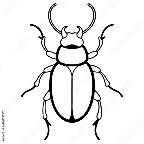 Simple Dung Beetle Line Art Illustration