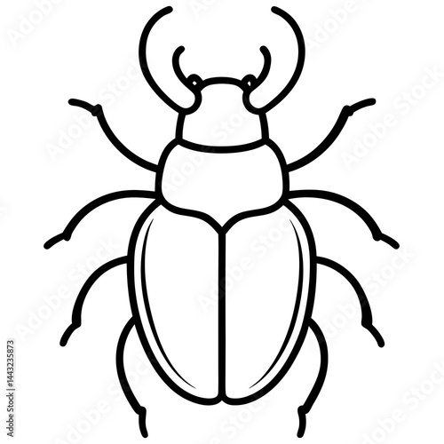 Simple Dung Beetle Line Art Illustration