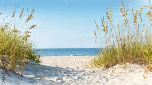 Wallpaper Mural Tranquil Beach Pathway Surrounded by Grasses and Soft Sand Torontodigital.ca