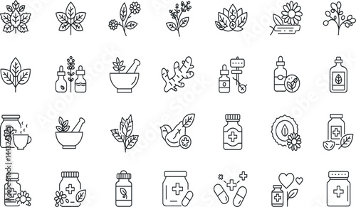 Medicinal herbs line icon set. Vector pictograms of echinacea, ginger, turmeric, lavender, rosemary, calendula, lemon balm, dandelion, st johns wort