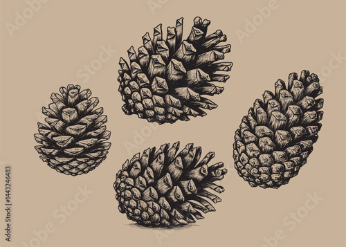 Engraved pine cone detailed shape set