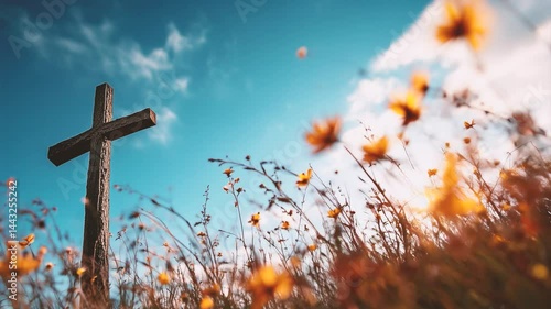 a cross in a field of autumn with cosmos in full bloom